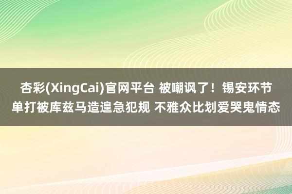 杏彩(XingCai)官网平台 被嘲讽了！锡安环节单打被库兹马造遑急犯规 不雅众比划爱哭鬼情态