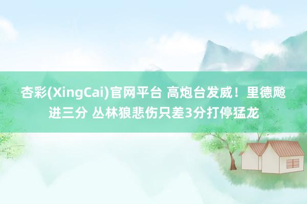 杏彩(XingCai)官网平台 高炮台发威！里德飚进三分 丛林狼悲伤只差3分打停猛龙
