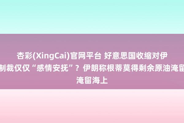 杏彩(XingCai)官网平台 好意思国收缩对伊石油制裁仅仅“感情安抚”？伊朗称根蒂莫得剩余原油淹留海上
