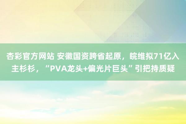 杏彩官方网站 安徽国资跨省起原，皖维拟71亿入主杉杉，“PVA龙头+偏光片巨头”引把持质疑