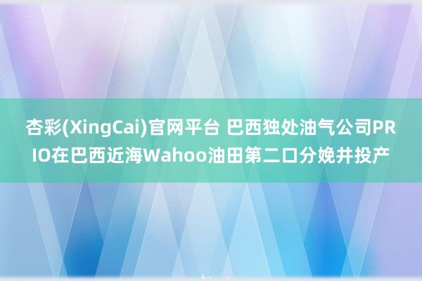 杏彩(XingCai)官网平台 巴西独处油气公司PRIO在巴西近海Wahoo油田第二口分娩井投产