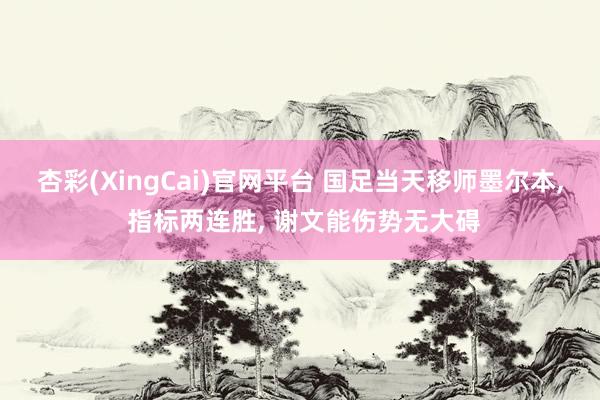 杏彩(XingCai)官网平台 国足当天移师墨尔本, 指标两连胜, 谢文能伤势无大碍