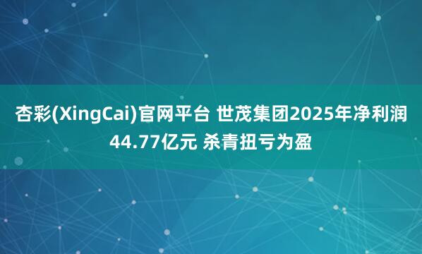 杏彩(XingCai)官网平台 世茂集团2025年净利润44.77亿元 杀青扭亏为盈