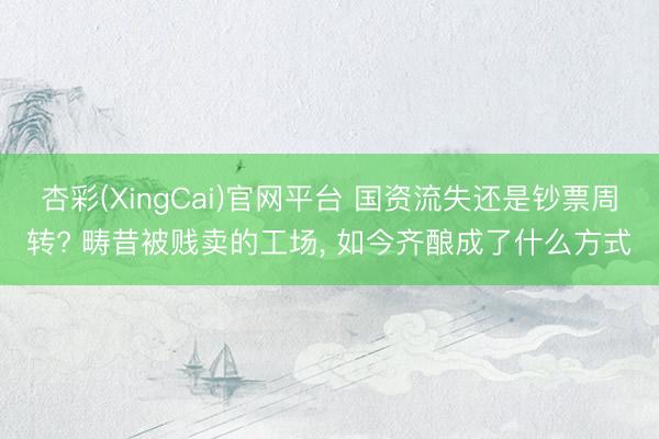 杏彩(XingCai)官网平台 国资流失还是钞票周转? 畴昔被贱卖的工场， 如今齐酿成了什么方式