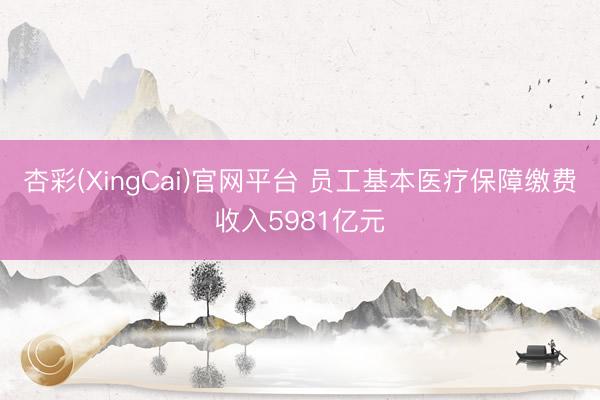 杏彩(XingCai)官网平台 员工基本医疗保障缴费收入59