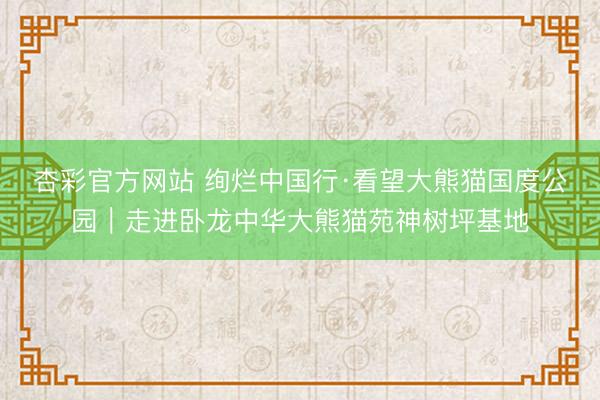 杏彩官方网站 绚烂中国行·看望大熊猫国度公园｜走进卧龙中华大熊猫苑神树坪基地