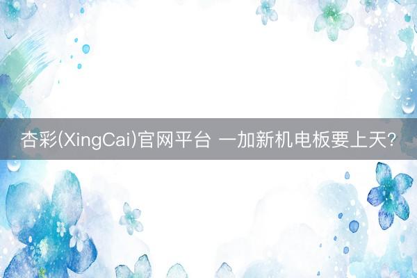 杏彩(XingCai)官网平台 一加新机电板要上天?