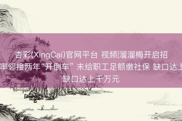 杏彩(XingCai)官网平台 视频|溜溜梅开启招股 毛利率邻接两年“开倒车” 未给职工足额缴社保 缺口达上千万元