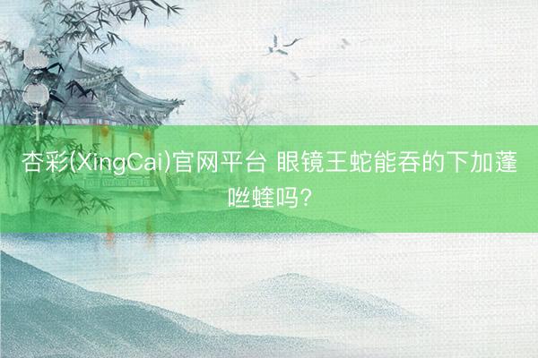 杏彩(XingCai)官网平台 眼镜王蛇能吞的下加蓬咝蝰吗?